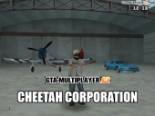 Cheetah Corporation