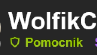 Blog o Wolfikových praktikách.