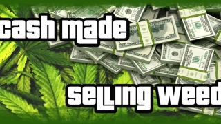 Most Cash Made Selling Weed - FiveM 2