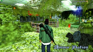 Forest-like Ammu-Nation shop