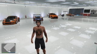 MY ORANGE colection in GTA 5 :)