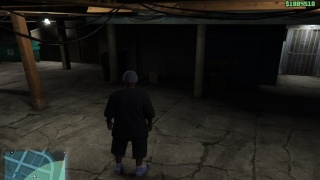 Money Bag in GTA V