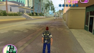 alone in vice city