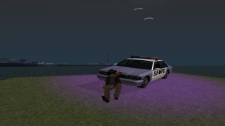 Purple SFPD 170-1 💜