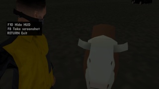 found a cow in ls airport