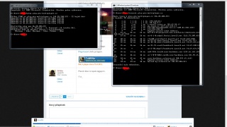 tracert + ping