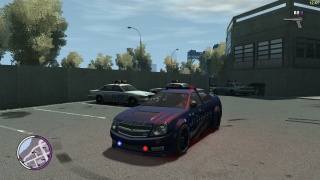 Police Stinger