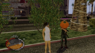 Pumpkin head Alien spotted !