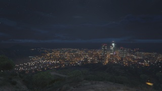 Vinewood view