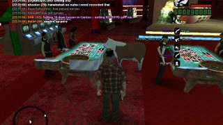 Lol Cow play Casino :D