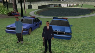 Steve5 and Berny: BLUE POLICE CARS