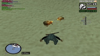 Turtles <3