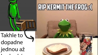 R.I.P Kermitek